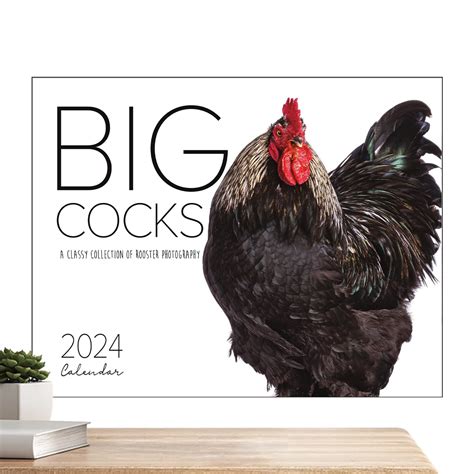 bigcockass2024|BigCock 2024 .